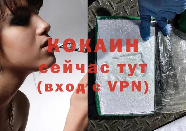 соль ск Михайлов