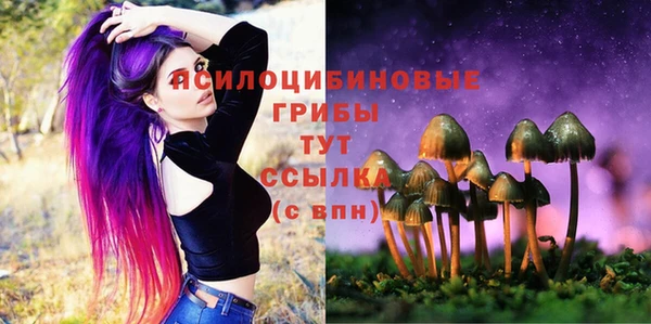 каннабис Михайловка