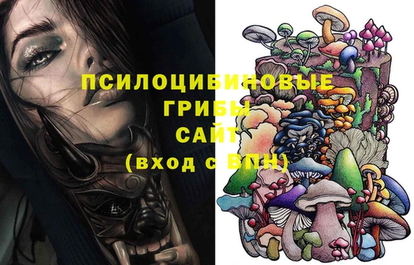 соль ск Михайлов
