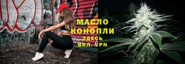 соль ск Михайлов