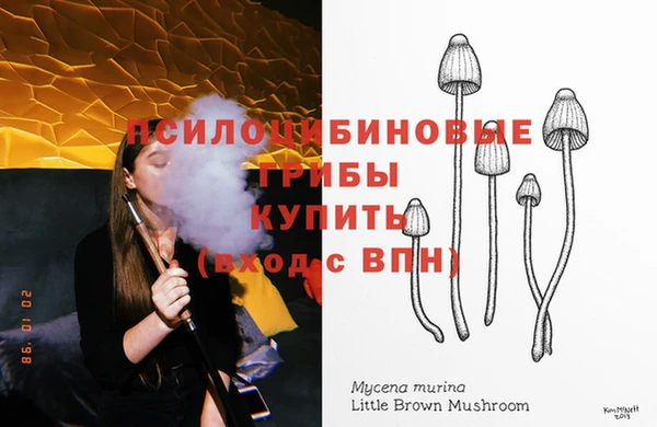 соль ск Михайлов